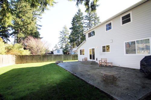 Lower level fireplace